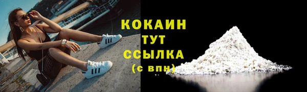 тгк Алзамай