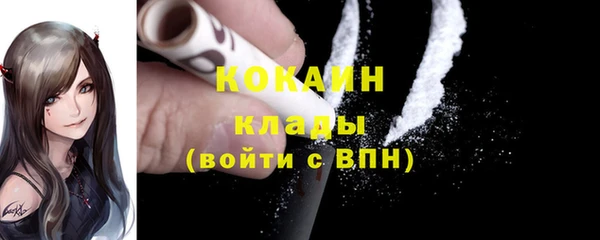 тгк Алзамай