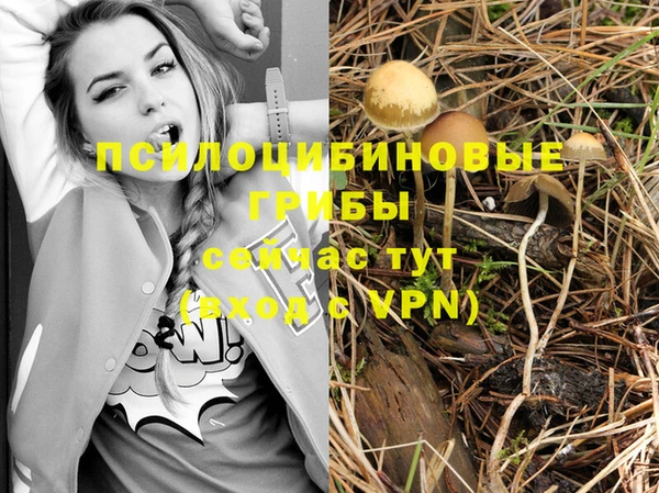 тгк Алзамай
