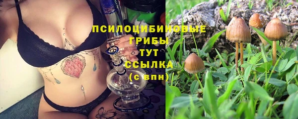 тгк Алзамай