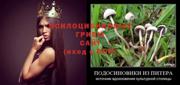 тгк Алзамай