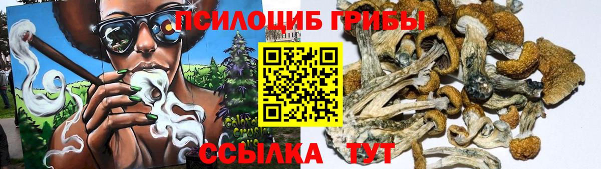 Галлюциногенные грибы Magic Shrooms Карачаевск