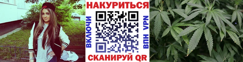 Канабис ГИДРОПОН  Карачаевск 