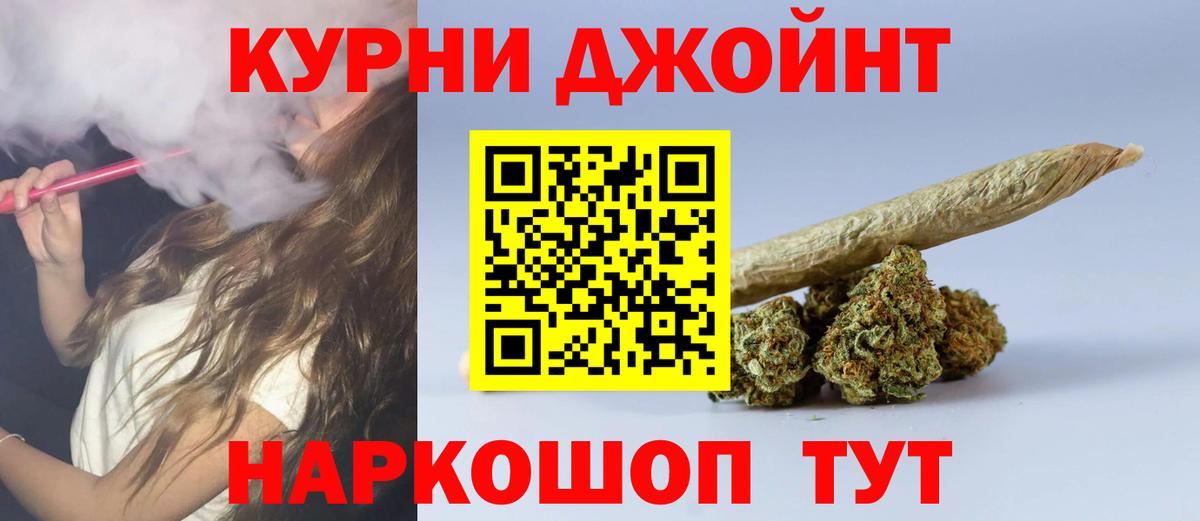 Конопля сатива Карачаевск